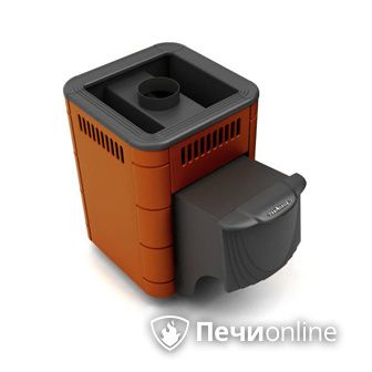 Дровяная банная печь TMF Оса Carbon терракота дверь антрацит в Чусовом